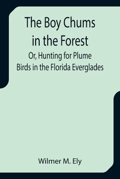 The Boy Chums in the Forest; Or, Hunting for Plume Birds in the Florida Everglades - M. Ely, Wilmer