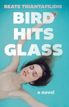 Bird Hits Glass - Triantafilidis, Beate