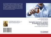 Exergetic-economic analysis of biodiesel production from animal fat