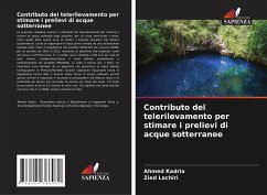 Contributo del telerilevamento per stimare i prelievi di acque sotterranee - Kadria, Ahmed;Lachiri, Zied