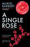 A Single Rose