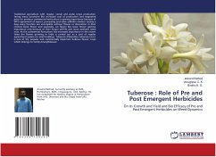 Tuberose : Role of Pre and Post Emergent Herbicides - Rathod, Aravind;C. K, Venugopal,;K. G., Bindhu