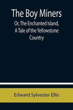 The Boy Miners; Or, The Enchanted Island, A Tale of the Yellowstone Country - Sylvester Ellis, Edward