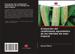 Evaluación del rendimiento agronómico de los híbridos de maíz tropical - Mbuvi, Benard