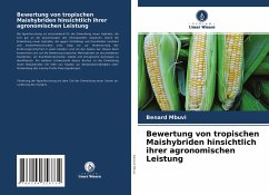 Bewertung von tropischen Maishybriden hinsichtlich ihrer agronomischen Leistung - Mbuvi, Benard