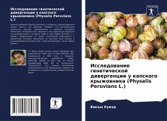 Issledowanie geneticheskoj diwergencii u kapskogo kryzhownika (Physalis Peruvians L.) - Kumar, Vikash