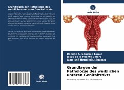 Grundlagen der Pathologie des weiblichen unteren Genitaltrakts - Sánchez Torres, Damián Á.;de la Fuente Valero, Jesús;Hernández Aguado, Juan José