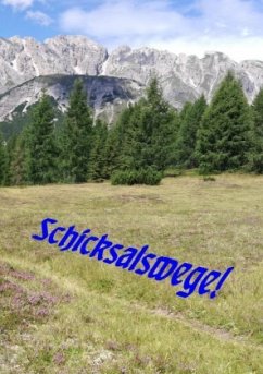 Schicksalswege - Jansenberger, Helene