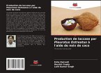 Production de laccase par Pleurotus Ostreatus à l'aide de noix de coco