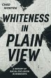 Whiteness in Plain View (eBook, ePUB) - Bild 1