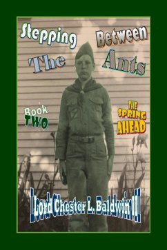 Cover Stepping Between The Ants - Book TWO: The Spring Ahead (eBook, ePUB)