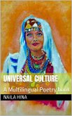 Universal Culture (eBook, ePUB)