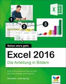 Excel 2016 (eBook, PDF)