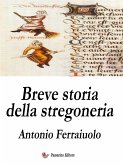 Breve storia della stregoneria (eBook, ePUB)