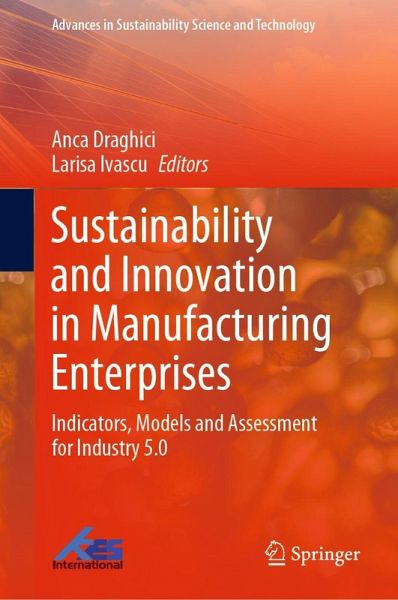 Sustainability and Innovation in Manufacturing Enterprises (eBook, PDF)