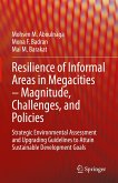 Resilience of Informal Areas in Megacities – Magnitude, Challenges, and Policies (eBook, PDF)