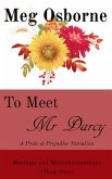 To Meet Mr Darcy: A Pride and Prejudice Variation (Meetings and Misunderstandings, #1) (eBook, ePUB)