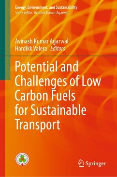 Potential and Challenges of Low Carbon Fuels for Sustainable Transport (eBook, PDF)