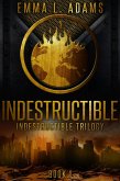 Indestructible (Indestructible Trilogy, #1) (eBook, ePUB)