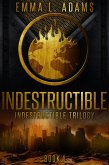Indestructible (Indestructible Trilogy, #1) (eBook, ePUB) Indestructible (Indestructible Trilogy, #1) (eBook, ePUB)