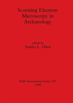 Scanning Electron Microscopy in Archaeology