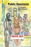 Public Spectacle (eBook, ePUB)