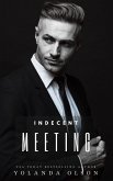 Indecent Meeting (eBook, ePUB)