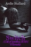 Switch: A Tale of Spanking, BDSM & Romance (eBook, ePUB)