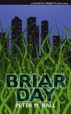Briar Day (eBook, ePUB)
