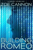 Building Romeo (eBook, ePUB)