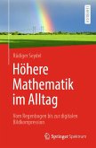 Höhere Mathematik im Alltag (eBook, PDF)