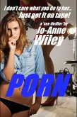 Porn (eBook, ePUB)