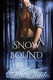 Snow Bound (Small Town Secrets, #3) (eBook, ePUB)
