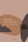 Kleine Novellen (eBook, ePUB)