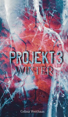 Winter (eBook, ePUB) - Weithaas, Celina