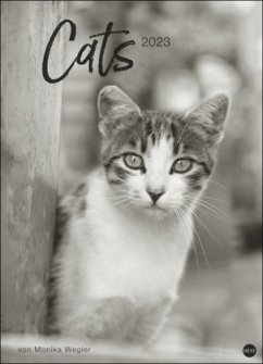 Monika Wegler: Cats Edition 2023. Elegante Samtpfoten in schwarz-weiß in einem XXL-Kalender. Tierkalender 2023 im Großfo - Wegler, Monika