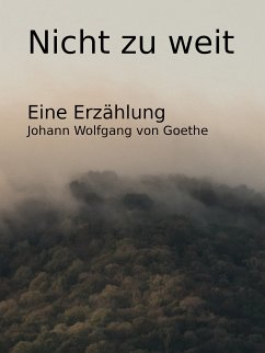 Nicht zu weit (eBook, ePUB)