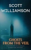Ghosts from the Veil (eBook, ePUB)
