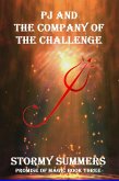 PJ and the Company of the Challenge (Promise of Magic) (eBook, ePUB)