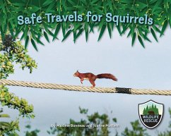 Safe Travels for Squirrels - Bonneau, Maxime