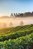 Amos Bible Journal