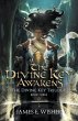 The Divine Key Awakens - Bild 1