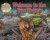 Welcome to the Tree Stump