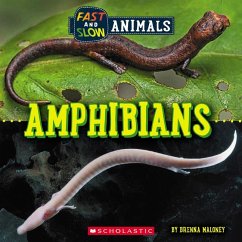Amphibians (Wild World: Fast and Slow Animals) - Maloney, Brenna