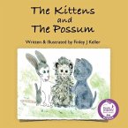 The Kittens and The Possum