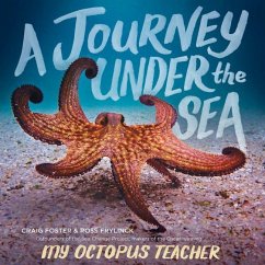 A Journey Under the Sea - Foster, Craig; Frylinck, Ross