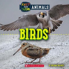 Birds (Wild World: Fast and Slow Animals) - Maloney, Brenna