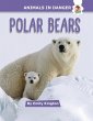 Polar Bears - Bild 1