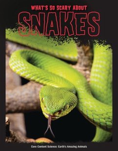 What's So Scary about Snakes? - Mattern, Joanne