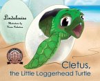 Cletus, the Little Loggerhead Turtle